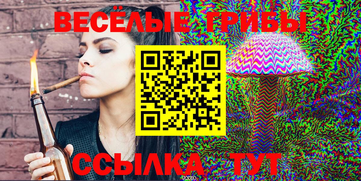 Псилоцибиновые грибы Cubensis Прокопьевск