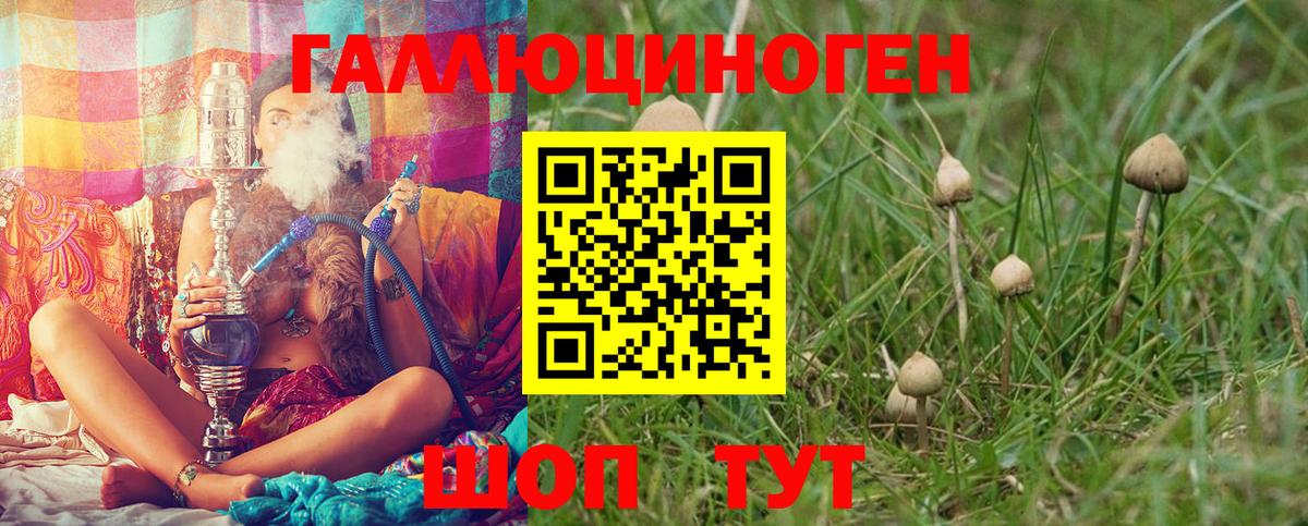 Прокопьевск  Галлюциногенные грибы MAGIC MUSHROOMS  Галлюциногенные грибы Psilocybine cubensis  Вход с VPN 